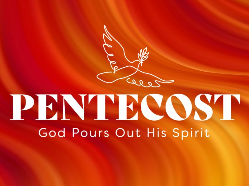 5th Sunday after&nbsp;Pentecost